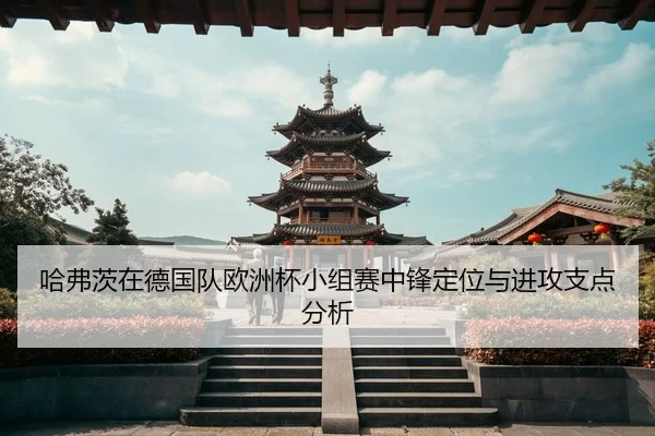 ha-fu-ci-zai-de-guo-dui-ou-zhou-bei-xiao-zu-sai-zhong-feng-ding-wei-yu-jin-gong-zhi-dian-fen-xi-2-989.jpg
